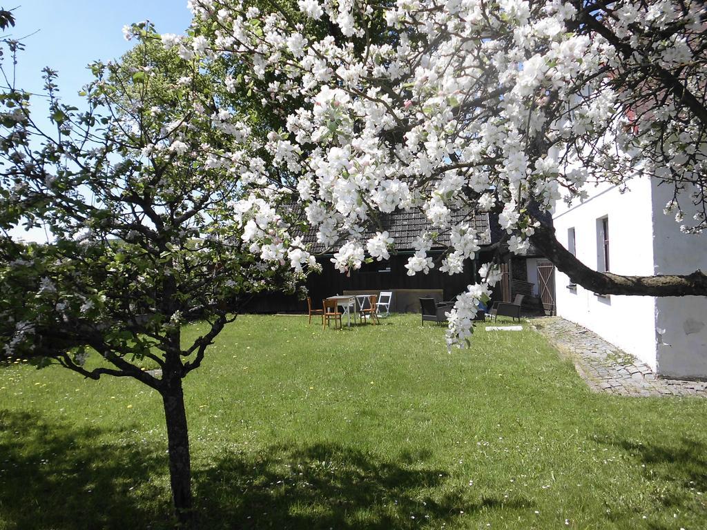Abc Apartments Černá v Pošumaví Dış mekan fotoğraf